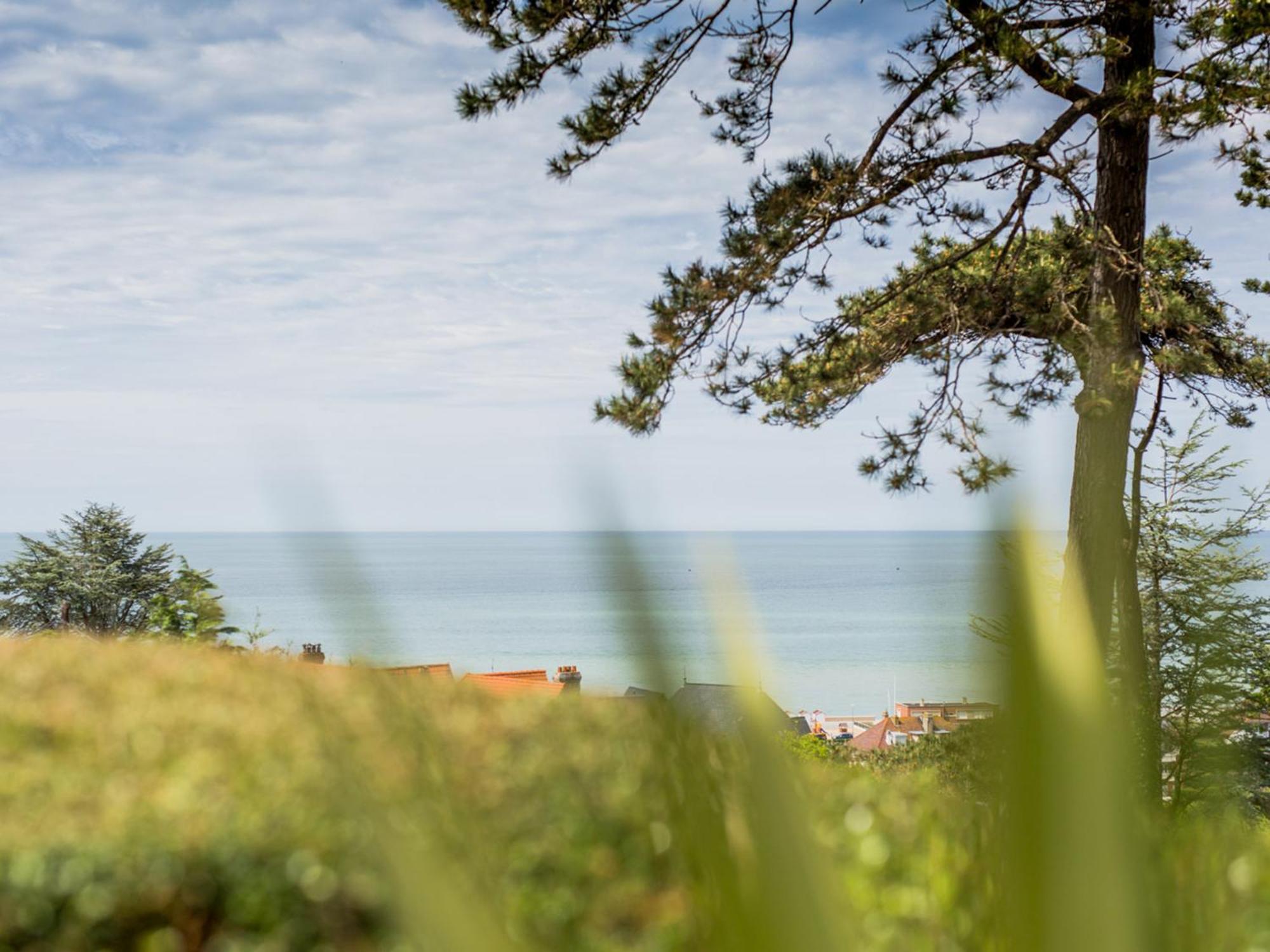 Le Carré Vue Mer Pourville-sur-Mer Eksteriør bilde